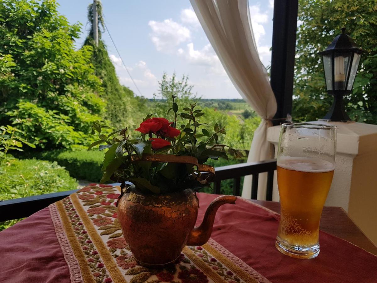 Dwor Na Wichrowym Wzgorzu Bed & Breakfast Przybyslawice Ngoại thất bức ảnh
